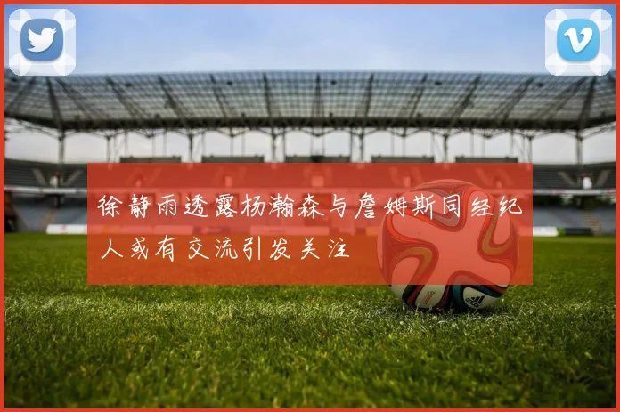 徐静雨透露杨瀚森与詹姆斯同经纪人或有交流引发关注