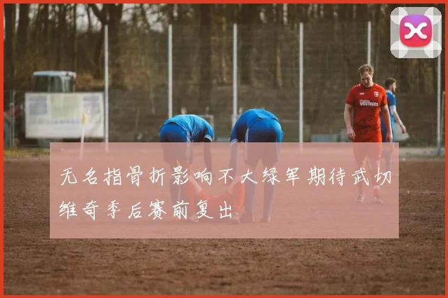 无名指骨折影响不大绿军期待武切维奇季后赛前复出