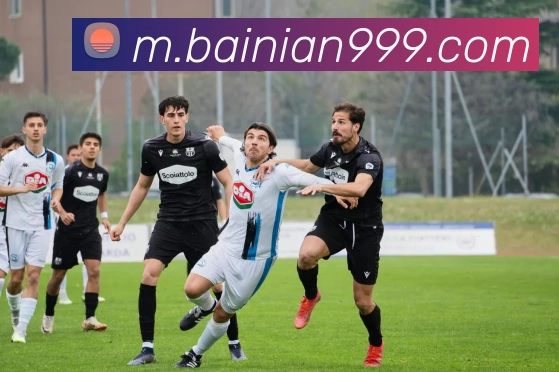 完美体育APP 封面图